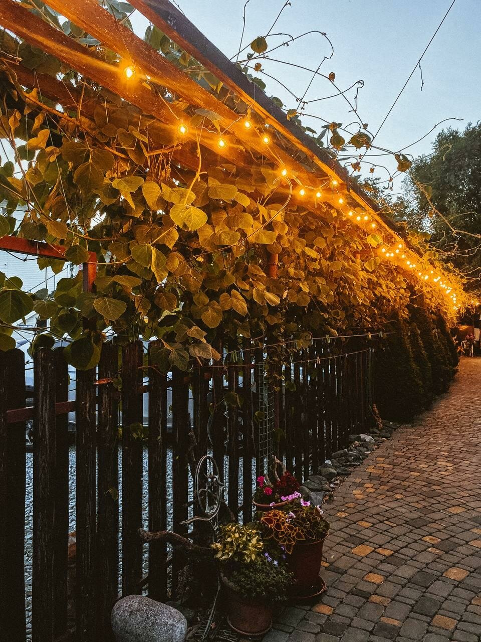 Гостиница У Антонины Архипо-Осиповка-13