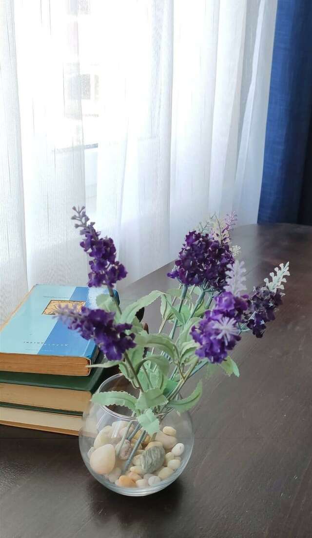 Гостиница У Антонины Архипо-Осиповка-38